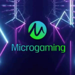 Micro Gaming