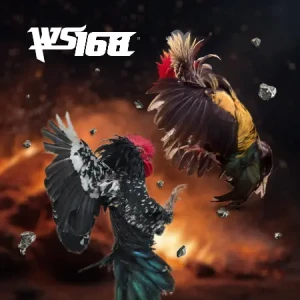 WS168Cockfighting
