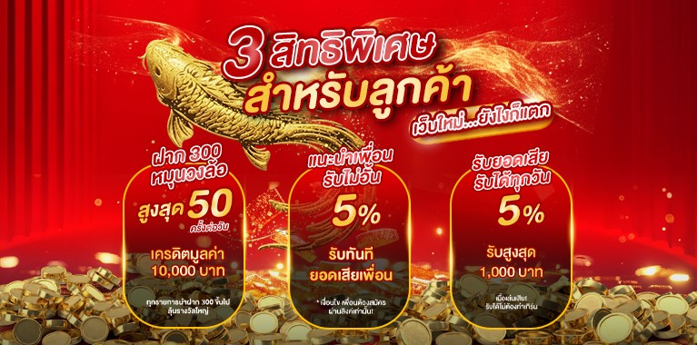 มาใหม่รับ